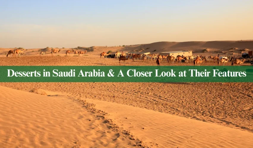 Deserts in Saudi Arabia
