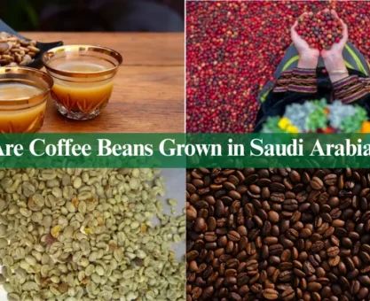 Are Coffee Beans Grown in Saudi Arabia