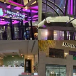 Best Cat Cafes in Riyadh